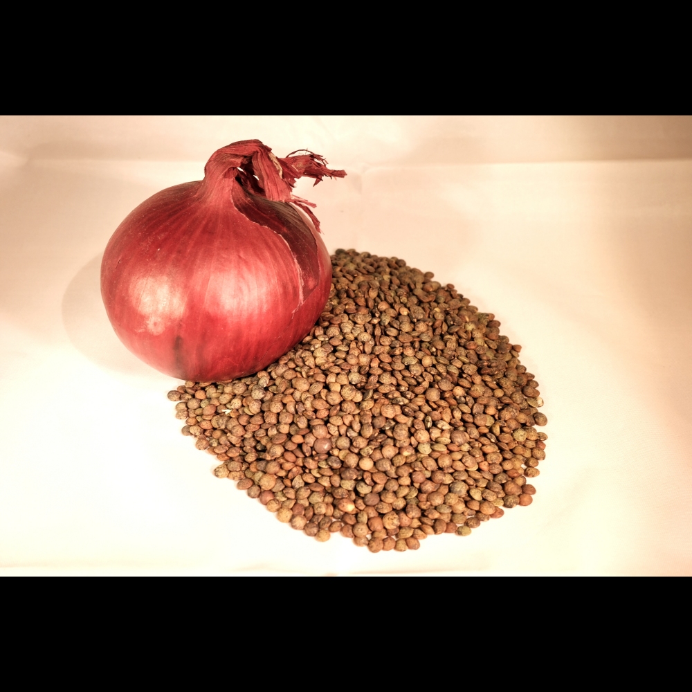 Lentilles vertes bio – Image 2