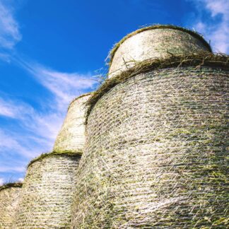 Round de foin bio 2024