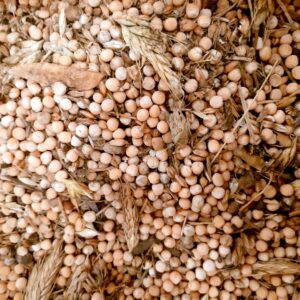 Pois aplatis, mélange en vrac