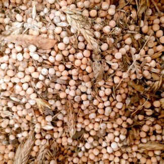 Pois aplatis, mélange en vrac